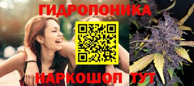 МДПВ Ачхой-Мартан