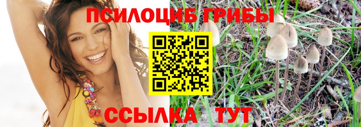 Галлюциногенные грибы MAGIC MUSHROOMS  Вход с VPN  Шелехов  Галлюциногенные грибы прущие грибы 